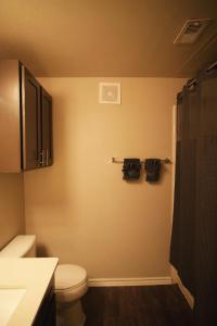 un bagno con wc e doccia di Charming 1 bed, 1 bath apartment a Cedar Park
