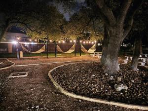 un parco con amache e un albero di notte di Charming 1 bed, 1 bath apartment a Cedar Park