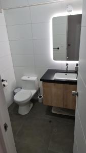 ein Badezimmer mit Toilette, Waschbecken und Spiegel in der Unterkunft Departamento Centrico Yanahuara Beaterio in Arequipa