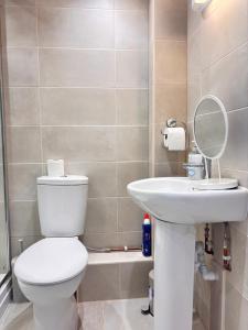 a bathroom with a toilet and a sink and a mirror at Bright Cozy 2 bedroom Apartment in Oxford in Oxford +21 photos