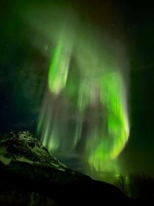 een afbeelding van het noorderlicht in de lucht bij Fjord & Flame in Tromsø +36 foto's