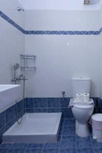 a bathroom with a toilet and a tub and a sink at TO VOTSALO-beach side studios & taverna in Karpathos