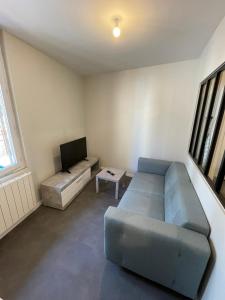 ein Wohnzimmer mit Sofa und Fernseher in der Unterkunft Apartment with terrace and barbecue Hyper center in Mâcon