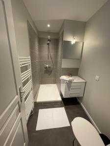 ein Badezimmer mit Dusche, Toilette und Waschbecken in der Unterkunft Apartment with terrace and barbecue Hyper center in Mâcon
