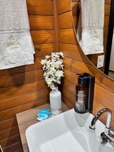 bagno con lavandino, specchio e fiori di Cabana Flamboyant 1 a Piratuba Altre 30 foto