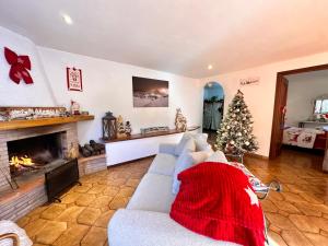 a living room with a christmas tree and a couch at Il Bosco Guest House Subiaco in Subiaco
