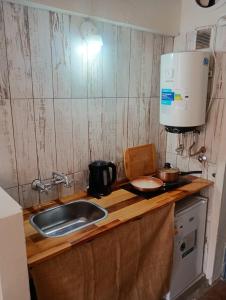 een aanrecht met een spoelbak en een magnetron bij Paseo Aldrey in Mar del Plata