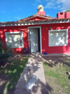 Ein weißer Hund sitzt vor einem roten Haus in der Unterkunft La casita in Villa Santa Cruz del Lago