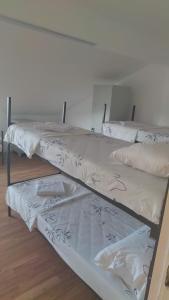 2 bedden met witte dekens en kussens in een kamer bij Alpha vision Smestaj in Belgrado