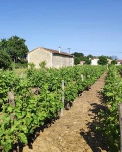 Zahrada ubytování Tente Cloche de Vigne - Glamping on a Vineyard