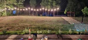 En have udenfor VIVA LA VIDA Lake house + 31 billeder