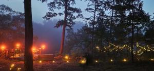 een mistige nacht met lichtjes in een bos bij Cliffside Cabin at Piney Falls - with Creek Access 