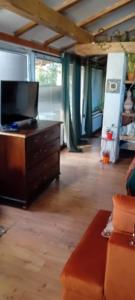 ein Wohnzimmer mit Fernseher, Kommode und Sofa in der Unterkunft VIRY room in Ljubljana