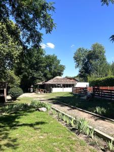 En have udenfor Tacuifi I - Apartamentos