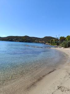 a beach with a group of birds in the water at Anatoli's Apartment in Artemida +4 photos