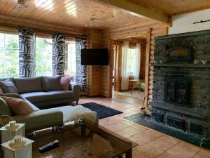 a living room with a couch and a fireplace at Villa Sofia in Otalampi