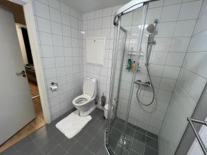 a bathroom with a shower and a toilet at Tromsø Central Stay in Tromsø +32 photos