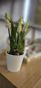 Galeriebild der Unterkunft CK Haven Suites in Kauswagan