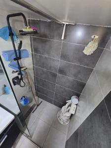 Et badeværelse på Appartement meublée à RABAT for CAN 2025