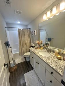 a bathroom with a sink and a toilet and a mirror at NWA Modern Stay in Springdale +5 photos