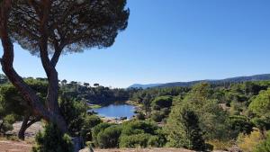 Naturlandskabet i nærheden af feriehuset