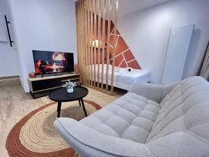 Et tv og/eller underholdning på Paris 21 - Studio charmant proche du centre-ville