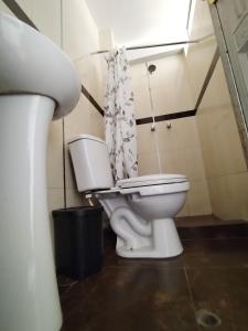 a bathroom with a toilet and a shower curtain at La Merced in Juliaca