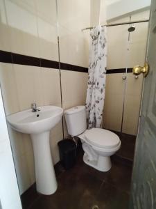 a bathroom with a toilet and a sink at La Merced in Juliaca