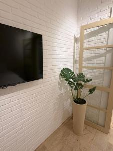 Et tv og/eller underholdning på Kanga Suítes - Aquário