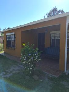 a small house with a plant in front of it at Ebenezer in Playa Hermosa