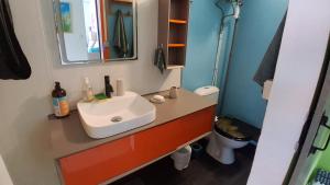 ein Badezimmer mit Waschbecken und Toilette in der Unterkunft Petite maison de village in Saint-Pierre