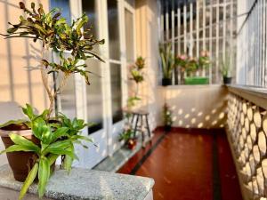 Billede fra billedgalleriet på Casa Jutaí - your home in Belém i Belém