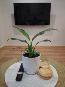 Et tv og/eller underholdning på Close to Shoal Bay Beach!