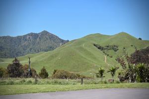 auliculiculiculiculiculiculiculiculiculiculiculiculiculiculic at Kotare View- Studio accommodation, Tataraimaka in Tataraimaka