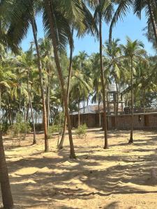 Phong cảnh thiên nhiên gần resort