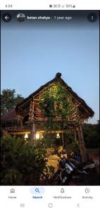 un edificio ricoperto di piante sul lato di esso di Beyond Guest House ad Auroville