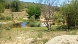 Galeriebild der Unterkunft Costa río in Villa Carlos Paz