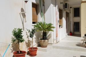 Un patio sau altă zonă în aer liber la Apartment Casa Francesca