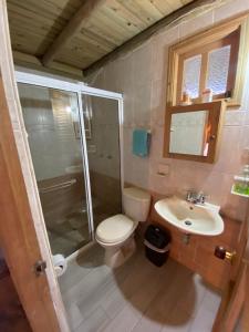 a bathroom with a shower and a toilet and a sink at Loge Cabaña peñol-Guatape in El Peñol +57 photos