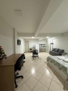 Et tv og/eller underholdning på Studio amplo e aconchegante no bairro aterrado