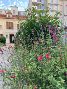 En have udenfor Malakoff Petit Montrouge Beau Studio