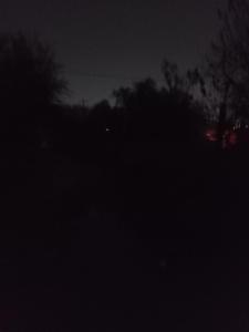 Eine dunkle Nacht mit Bäumen im Hintergrund in der Unterkunft Dep1 in Guanajuato