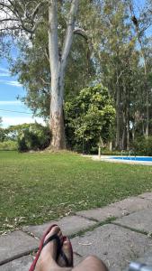 Billede fra billedgalleriet på Los totos2 i Acindar + 7 billeder