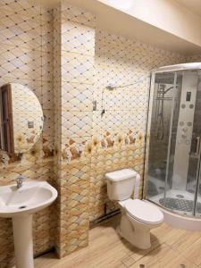 een badkamer met toilet, douche en wastafel bij Amplia Casa en el Centro de Arica in Arica