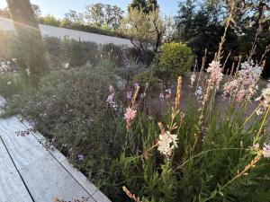 een tuin met paarse bloemen in een tuin bij suara in Pinarellu