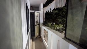 een gang met planten aan de muur van een huis bij Portal Apartment in Arambol