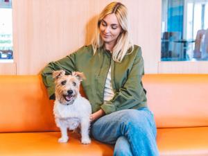 Animal o animals de companyia a Ibis Como