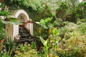 a garden with a stone fountain and plants at Villas Sol y Luna Coyoacan in Mexico City