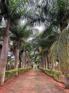 Φωτογραφία από το άλμπουμ του NATUREs LAP FARM STAY Mysore σε Mysore