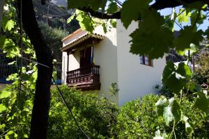The building in which the country house is located